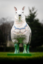 Load image into Gallery viewer, Flock to the Show - The Woolly Back
