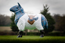 Load image into Gallery viewer, Flock to the Show - Tartan Storm
