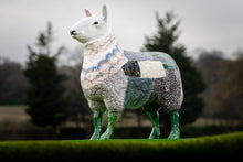 Load image into Gallery viewer, Flock to the Show - The Woolly Back
