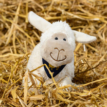 Load image into Gallery viewer, Cuddly Toy RHASS Sheep
