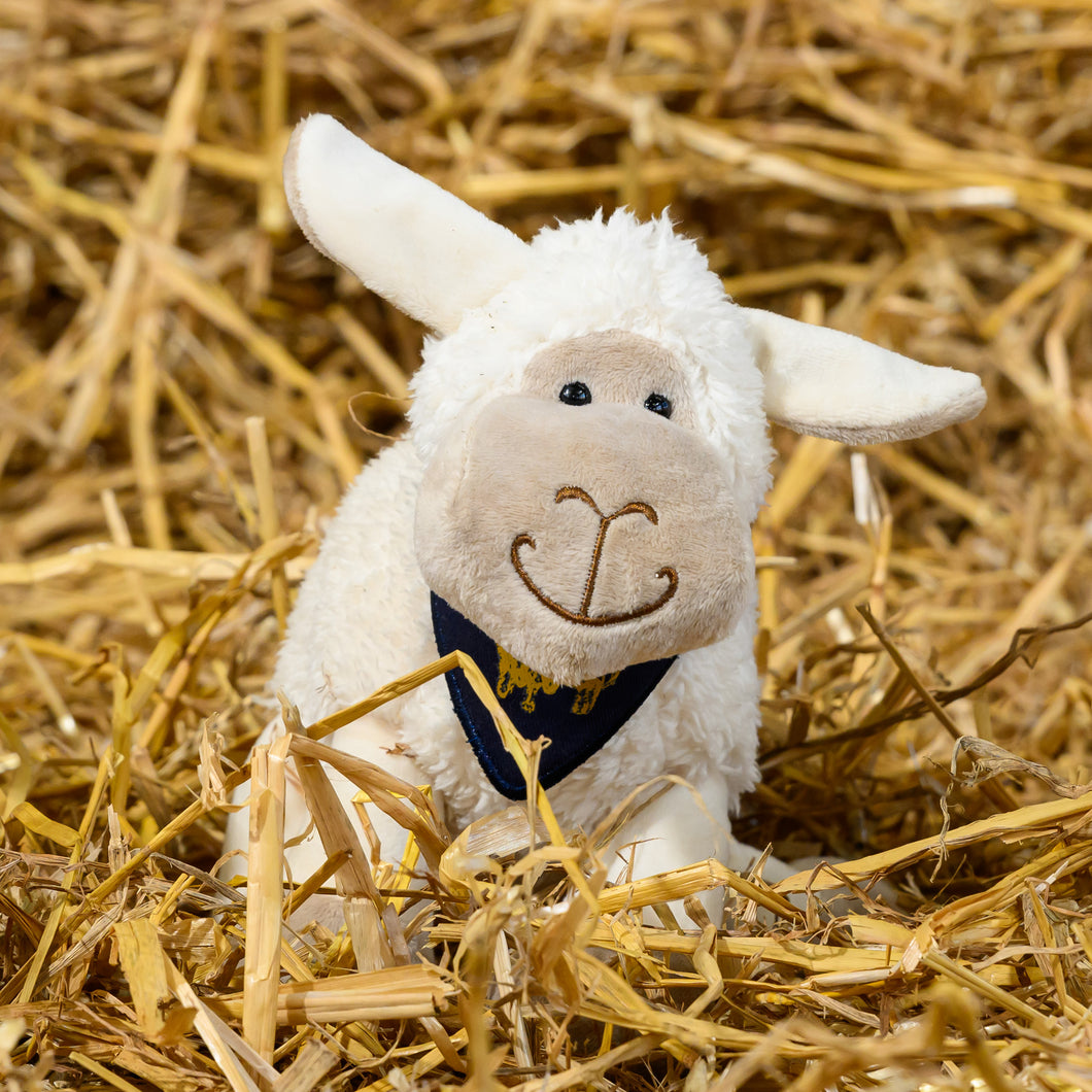 Cuddly Toy RHASS Sheep